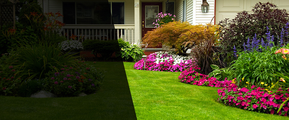 Exeter Landscapers