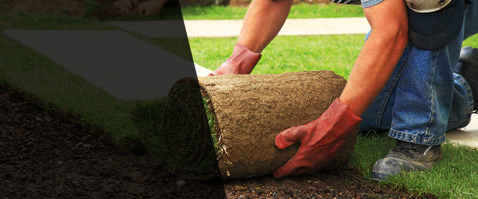 Exeter Landscapers